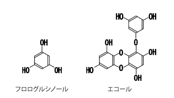 ヒロメの含有成分